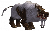 Scrofa