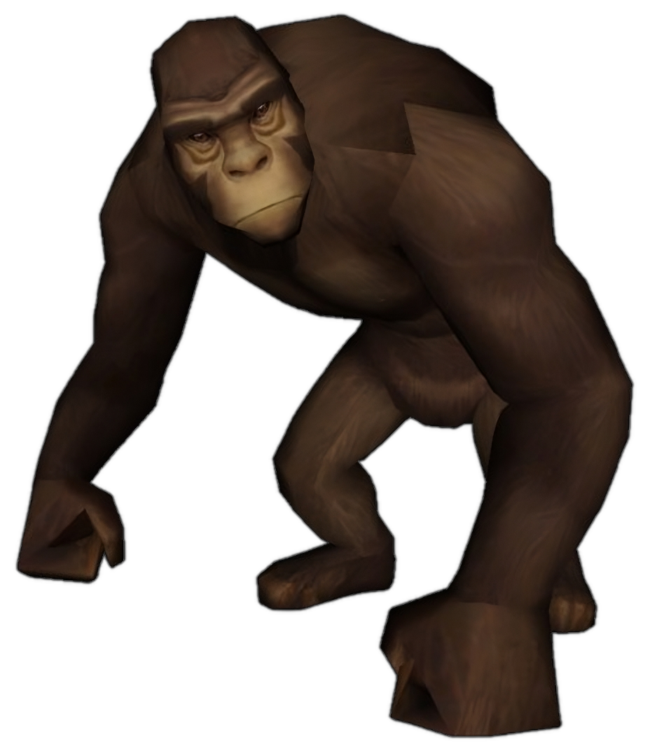Maymun General